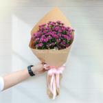 Bó Hoa Thanh Xuân 237