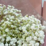 Bó Hoa Tinh Khôi 207