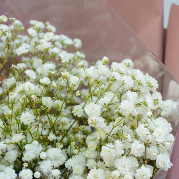 Bó Hoa Tinh Khôi 207