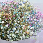 Bó Hoa Tinh Khôi 223