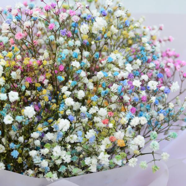 Bó Hoa Tinh Khôi 223