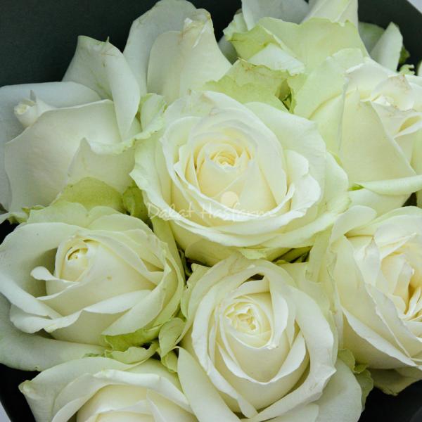 Bó Hoa Yêu Thương 224