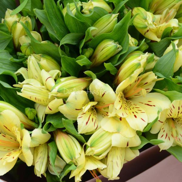 Bó Hoa May Mắn 236