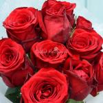 Bó Hoa Yêu Thương 231