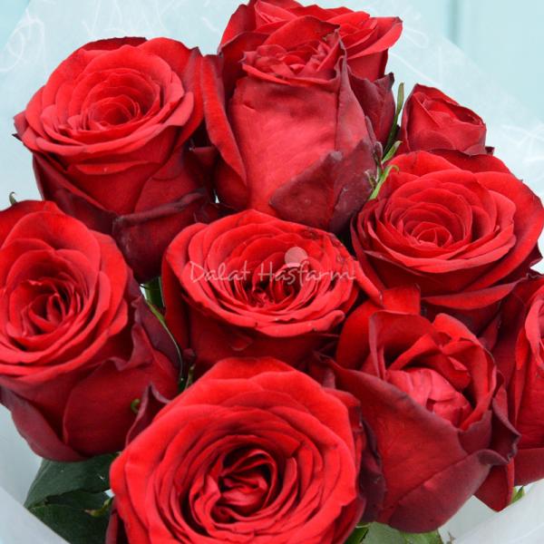 Bó Hoa Yêu Thương 231