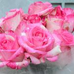 Bó Hoa Yêu Thương 227