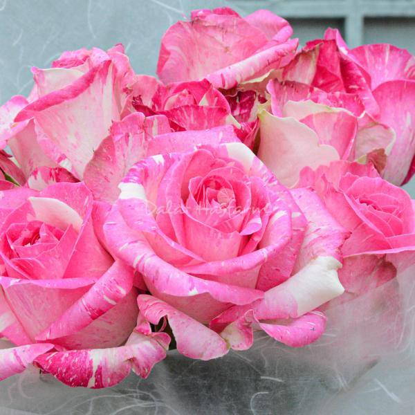 Bó Hoa Yêu Thương 227