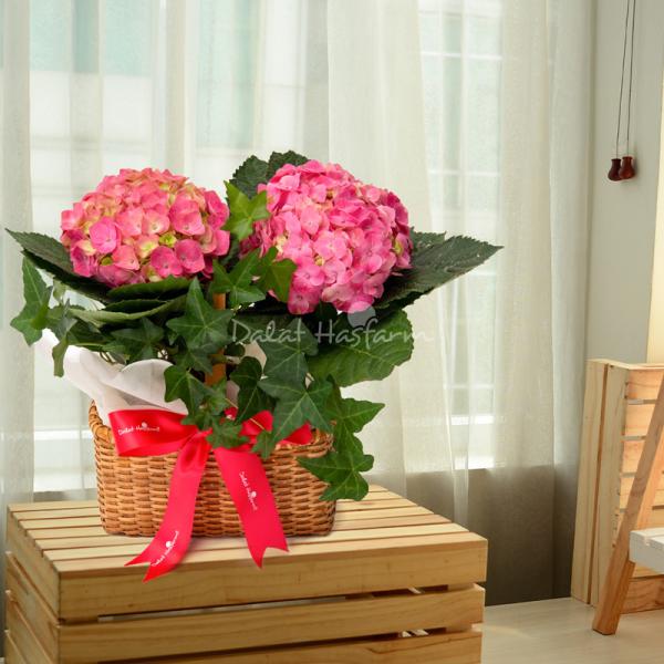 Giỏ Hoa Thiết Kế Chân Thành 087