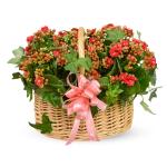 Giỏ Hoa Thiết Kế Trường Thọ 088