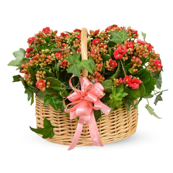 Giỏ Hoa Thiết Kế Trường Thọ 088