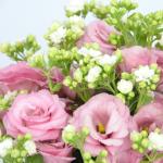 Chậu Hoa Thông Điệp Hạnh Phúc 143