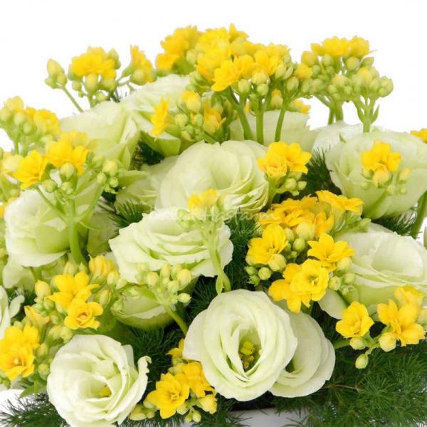 Chậu Hoa Thông Điệp Hạnh Phúc 142