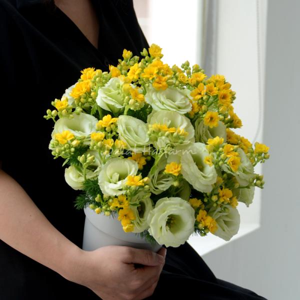 Chậu Hoa Thông Điệp Hạnh Phúc 142