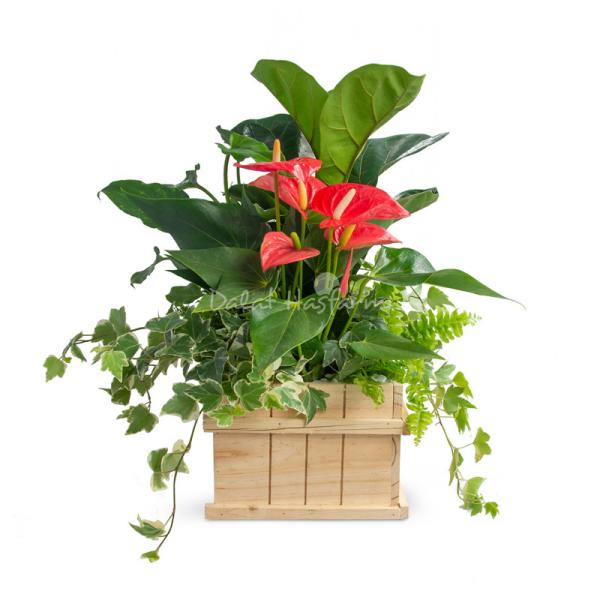 Giỏ Cây Xanh Thiết Kế Đồng Xanh 097