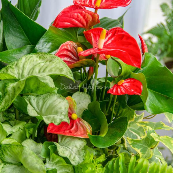 Giỏ Cây Xanh Thiết Kế Đồng Xanh 096