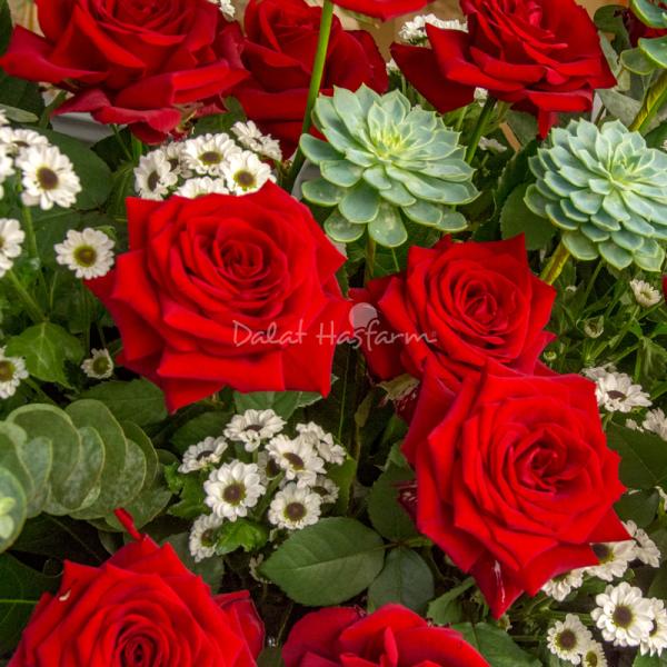 Kệ Hoa Chúc Mừng 020