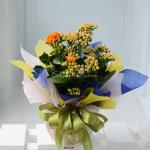 Chậu Giấy Gói Hoa Sống Đời 048