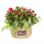 Chậu Hoa Thiết Kế Yêu Thương 055