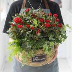 Chậu Hoa Thiết Kế Yêu Thương 055