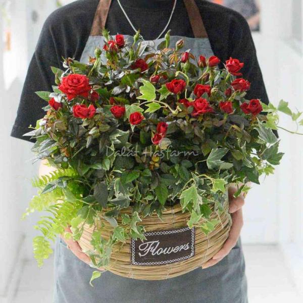 Chậu Hoa Thiết Kế Yêu Thương 055