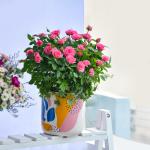 Chậu Hoa Thiết Kế Yêu Thương 102