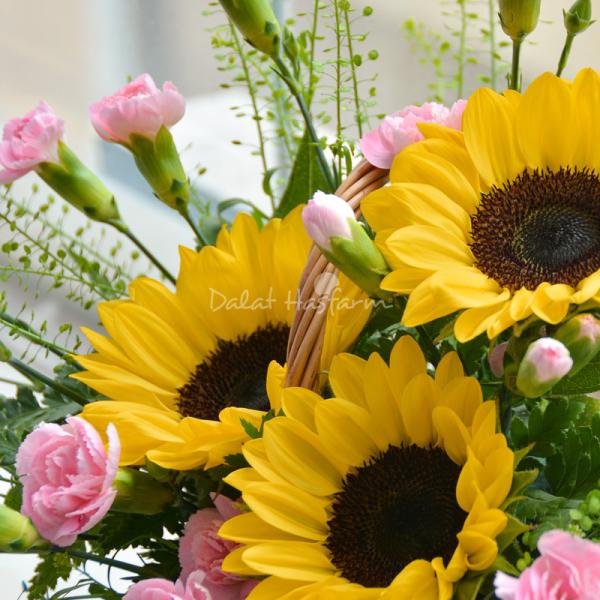 Giỏ Hoa Ánh Dương Rực Rỡ 267