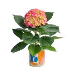 Chậu Hoa Thiết Kế  Chân Thành 104