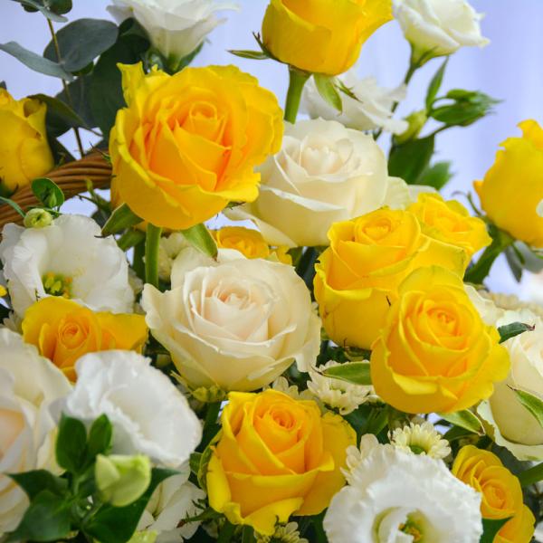 Giỏ Hoa Dẫn Lối Yêu Thương 265