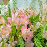 Bó Hoa Sứ Giả May Mắn 263