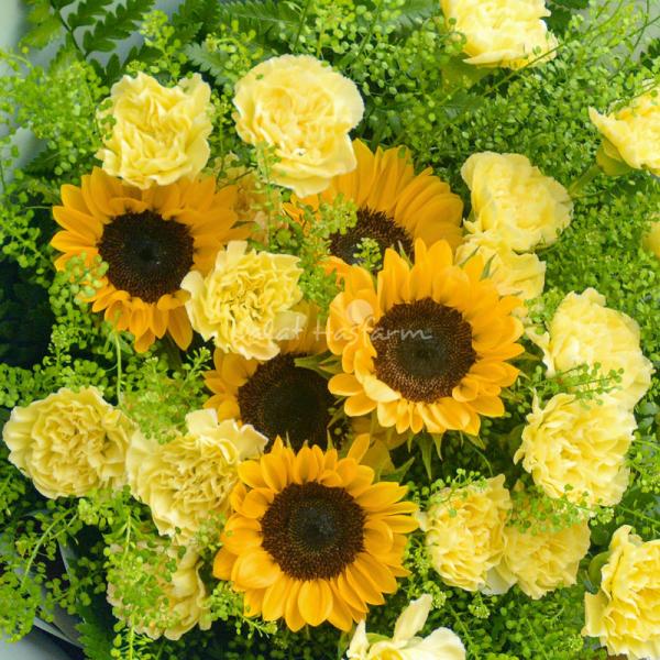 Bó Hoa Ánh Dương Rực Rỡ 264