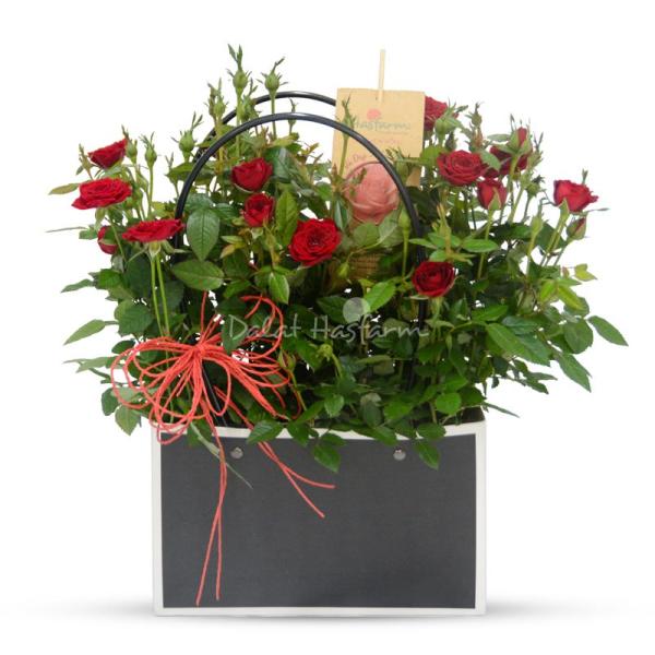 Chậu Hoa Thiết Kế Yêu Thương 053