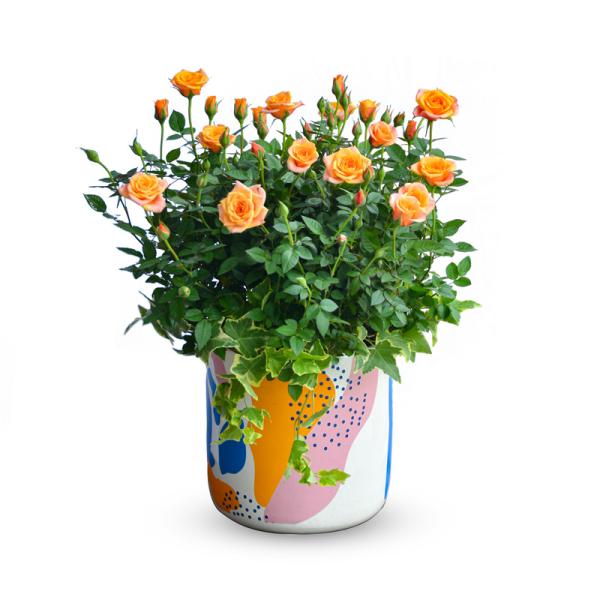 Chậu Hoa Thiết Kế Yêu Thương 110