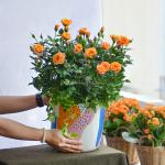 Chậu Hoa Thiết Kế Yêu Thương 110