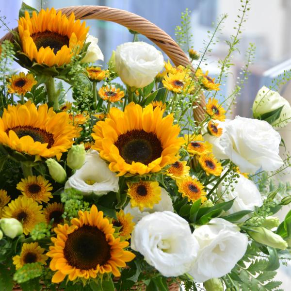 Giỏ Hoa Ánh Dương Rực Rỡ 033