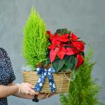 Chậu Cây Thiết Kế Hân Hoan 057