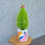 Chậu Sứ Cây Tùng Thơm (40cm) 054