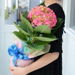 Chậu Giấy Gói Hoa Cẩm Tú Cầu 068