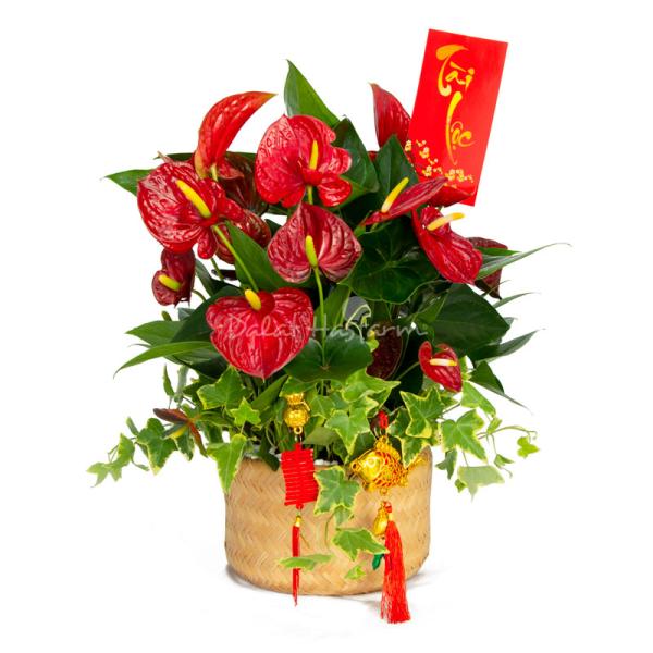 Hồng Môn Đón Lộc May Mắn