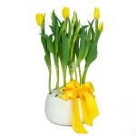 Chậu Hoa Thiết Kế Sắc Xuân 077