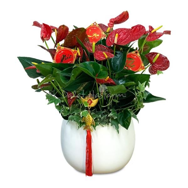 Hồng Môn Đón Lộc Đầu Xuân