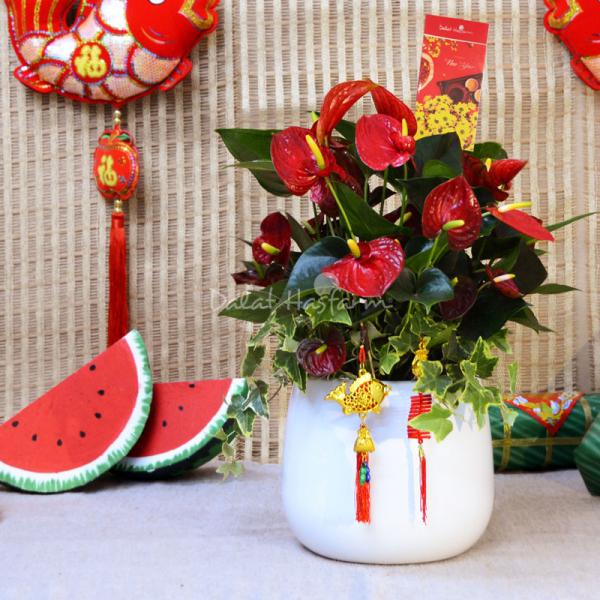 Hồng Môn Đón Lộc Vào Nhà 074