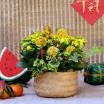 Chậu Hoa Thiết Kế Trường Thọ 072