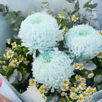 Bó Hoa Trân Quý 281