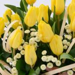 Giỏ Hoa Tulip 284