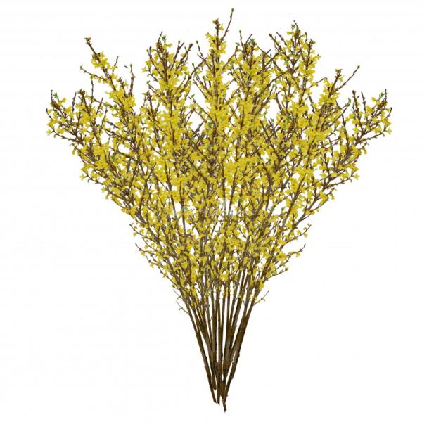 Mai Mỹ 30 cành - 110cm