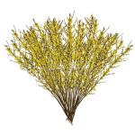 Mai Mỹ 50 cành - 110cm