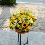 Giỏ Hoa Ánh Dương Rực Rỡ 179