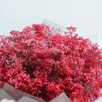 Bó Hoa Em Về Tinh Khôi 181