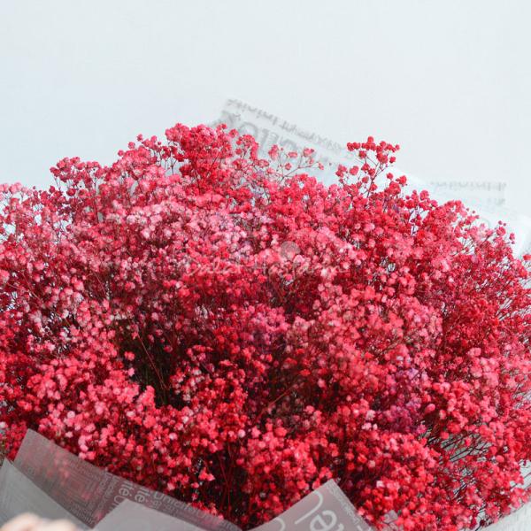 Bó Hoa Em Về Tinh Khôi 181