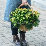 Giỏ Hoa Thiết Kế Trường Thọ 085